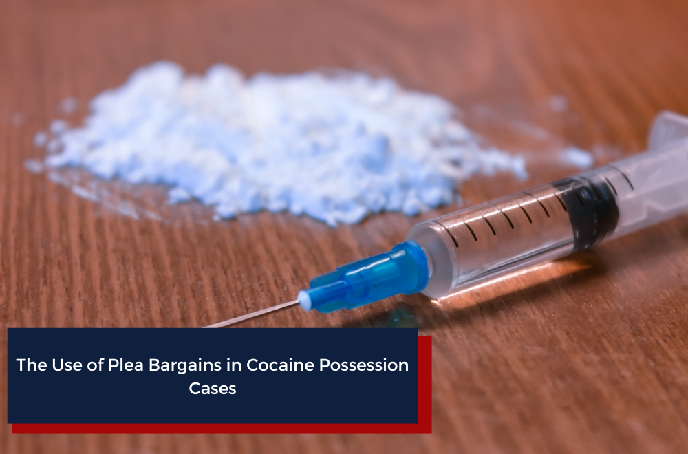 The Use of Plea Bargains in Cocaine Possession Cases